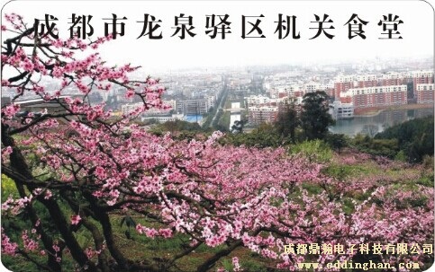 ��Ȫ�A�^�C�Pʳ��